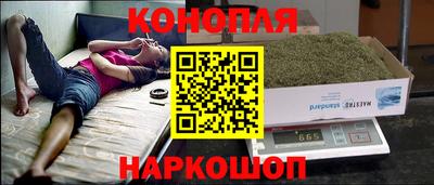 амф Новокубанск