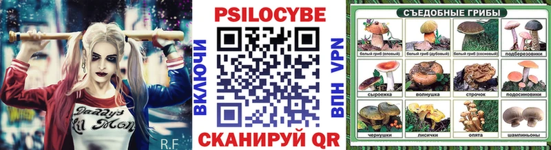 Псилоцибиновые грибы GOLDEN TEACHER как найти закладки Скопин