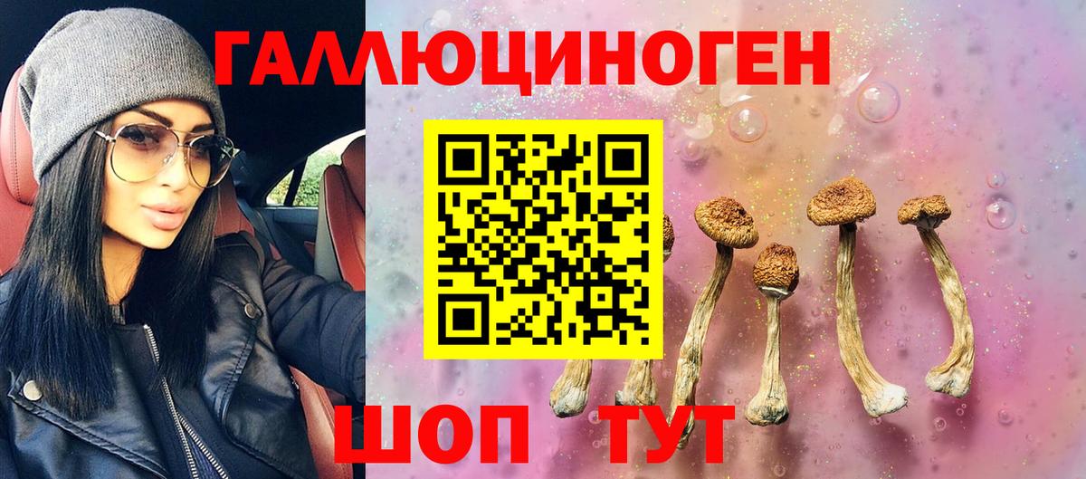 Псилоцибиновые грибы мицелий Скопин